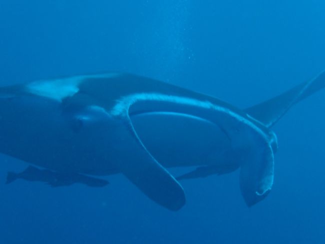 スゴイ〜〜〜〜〜っ！<br /><br />やっぱカッコいいいいいい。