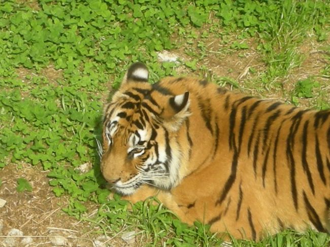 ．．．みたいなものはありません。