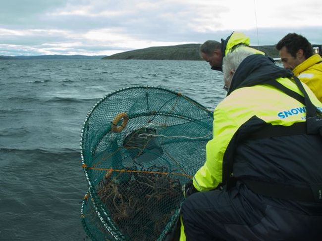 ノルウエーの北の果てでタラバガニ漁をする ヒルケネス ノルウェー の旅行記 ブログ By さすらいの食いしんぼうさん フォートラベル