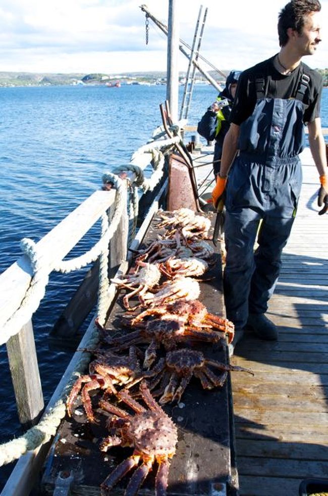 ノルウエーの北の果てでタラバガニ漁をする ヒルケネス ノルウェー の旅行記 ブログ By さすらいの食いしんぼうさん フォートラベル