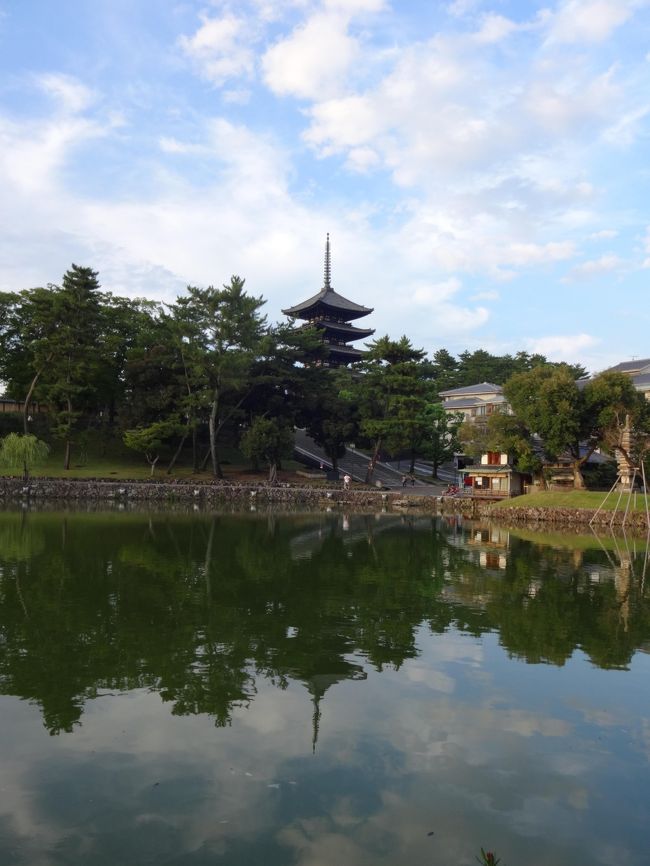 さて、猿沢池に到着！<br /><br />