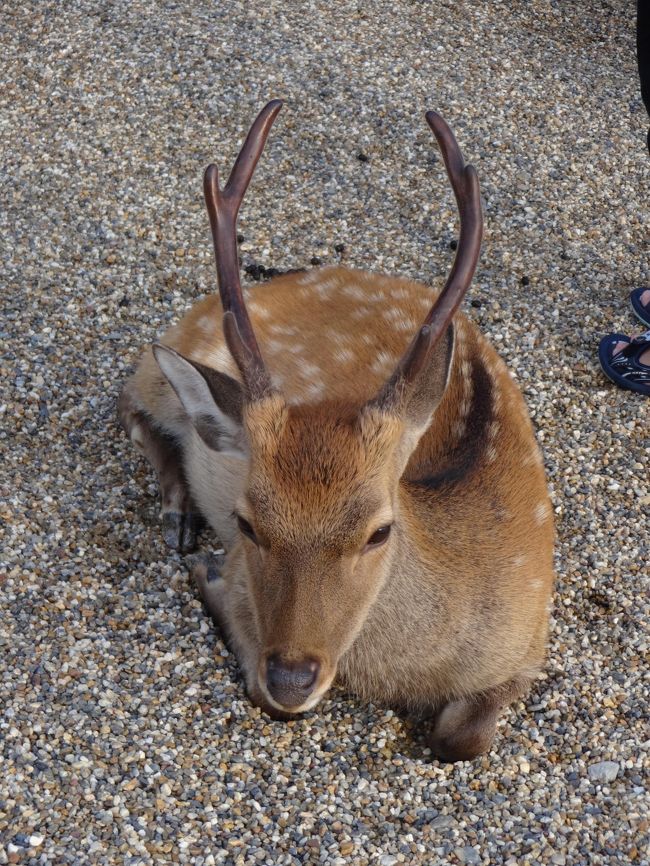 僕、かっこいいでしょ♪<br /><br />