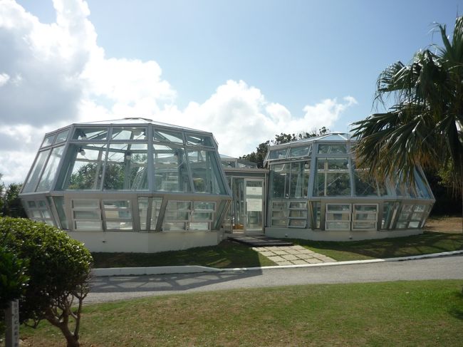 ガーデンプールの奥に有るジャグジーです。<br />左右に1個づつ有ります。