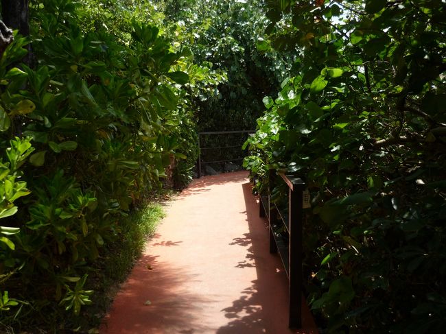 プールからビーチへ向かう道です。<br />ビーチまで大人で3分位、小人で5分位ですかね。