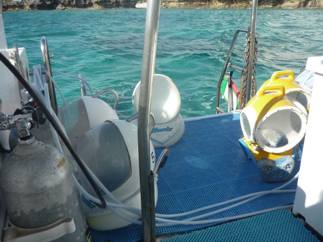 左側に見える白いメットは大人用で約30kgあります。<br />右側の黄色いメットは小人用で約20kgだったと思います。