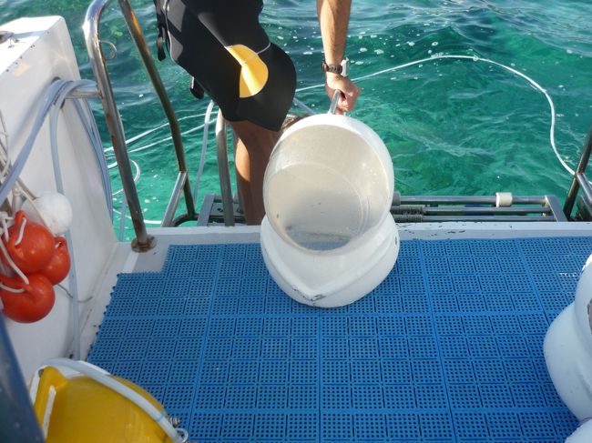 肩まで海に浸かったら被せてくれます。