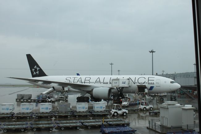 帰りの飛行機は７７７−２００スターアライアンス塗装の機体でした。
