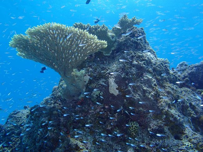 回り込んでまた撮る。