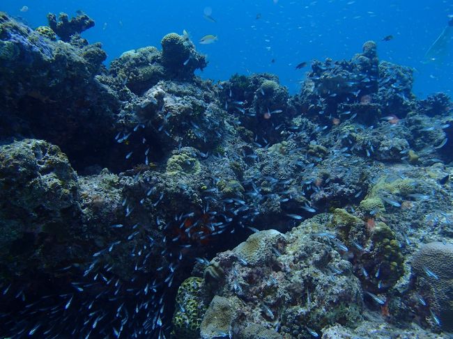 ちょっと地形ポイントへ進んでいきます。