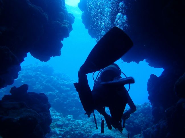 ガイドさん。<br />泳ぎが美しい〜〜〜。<br /><br />ひざ下のフィンキックがきれい〜〜。<br />しなやか〜〜〜。<br /><br />こうなりたい。