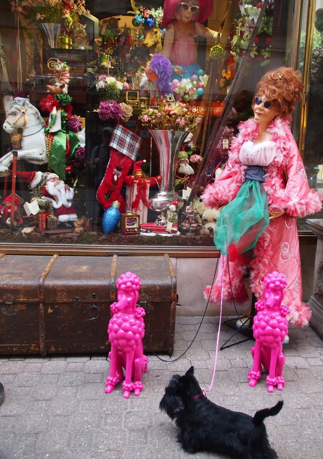 このお花屋さんのウィンドウディスプレイは目立ちますね〜。クールです！