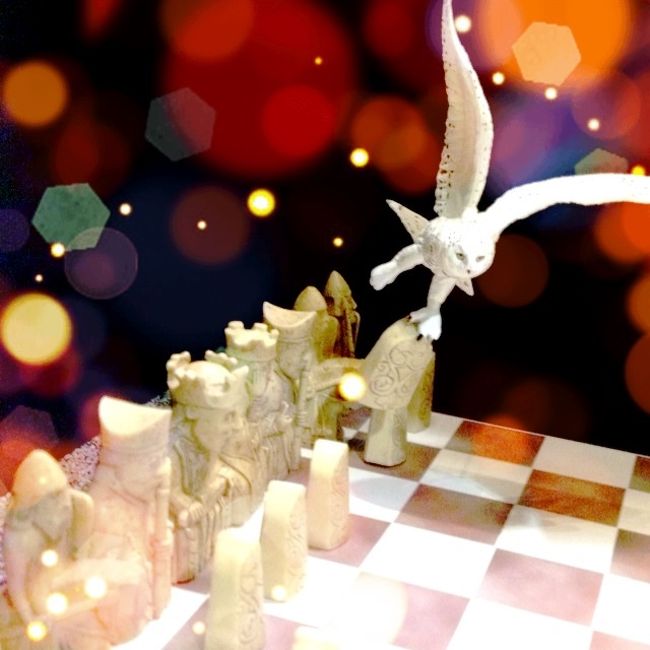 あぁっヘドウィグ！<br />『賢者の石』のときのチェスだよぉ〜<br /><br />と熱心に訴えたのに聞いてない相方。<br />ハリーポッターの原作、全巻持ってますが、何か？