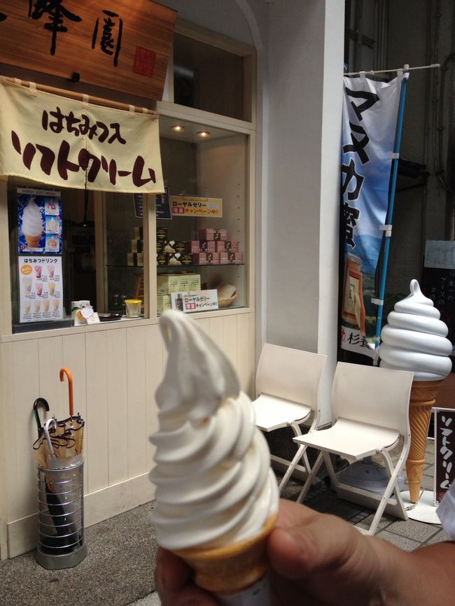 買っていけ〜〜というおねえさんの視線に負けて<br />はちみつソフトで休憩。<br />ソフトクリームはどこで食べてもおいしい。