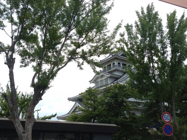 古い建築を上手く活用し、年間300万人が訪れる観光スポット。町おこしの見本として、全国から視察にやってくるそうです。<br /><br />１時間ほど散策し、長浜城を眺めながら次の目的地へ向かいます。<br />長浜城は琵琶湖畔にあり、夏の花火大会の打ち上げ場所も近いです。<br />長浜の花火大会、すごく好きで…京都に住んでいた頃は毎年来ていたなぁと懐かしくなりました。<br />全国から集った花火師がウデを競い合う大会のようで、花火のクオリティが高いんです。しかも打ち上げ場所のかなり近くまで開放されるので、花火が真上に上がる感覚が楽しめました！<br />いつか、また行きたいなぁ。