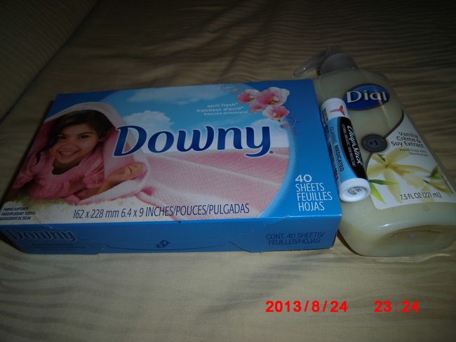 Ｋmart<br /><br />ダウニーシート　$2.89<br />リップ　$1.59<br />dial ハンドソープ　$2.49