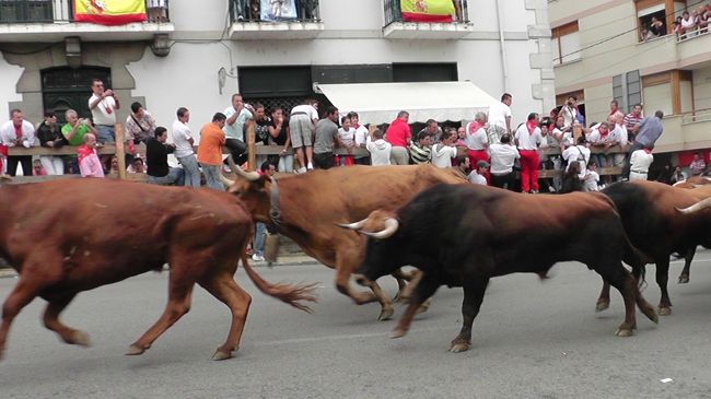 ドドドド．．．という牛の足音．．．