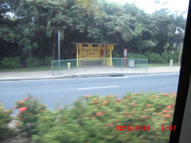 かわいいバス停<br />スクールバスのバス停なんですって