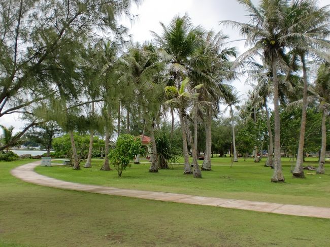 パセオ公園<br /><br />たくさんの木があります。<br />