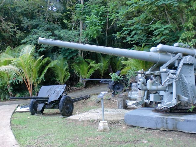 アメリカと日本の大砲