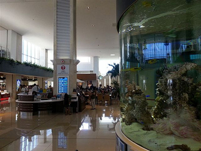 前の空港にもあった水槽は円柱形にカタチを変えて、グレードアップ。<br />