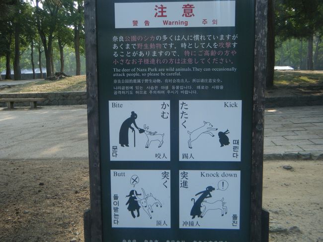 早朝、大阪南港に到着し、早速、奈良公園へ。<br /><br />知ってはいましたが、想像を超えた鹿の存在感。<br />鹿の注意書き看板が、微笑ましかった。