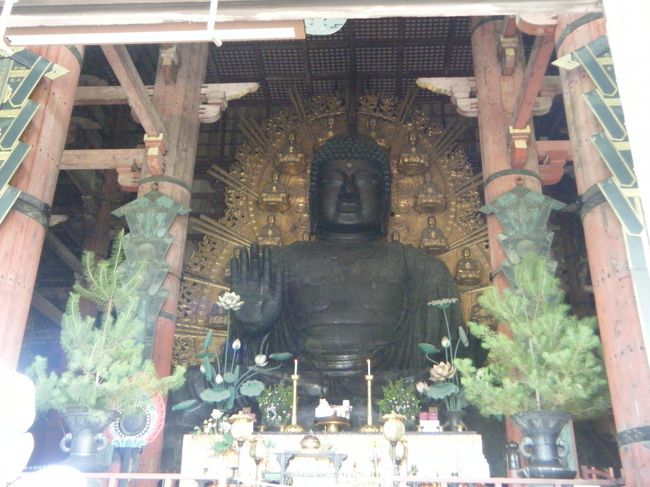 いや〜、でかい！<br />想像を超えてました。<br />感動です。<br /><br />色々な角度から、ずーっと見ていられます。<br />不思議な気持ちです。<br />どうして、こんなに大きい仏様が必要だったのか。<br />帰ったら、奈良の大仏とは、調べて見たいと思います。<br /><br />早朝にも、かかわらず観光客は多かったです。<br />普通に散歩をしている人もいます。<br />太陽が照りつけてきました。<br />奈良は暑いところですね。<br /><br />和歌山へ向かいます。<br /><br /><br /><br /><br /><br />