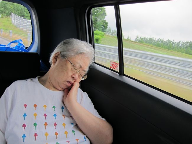 母はすっかり夢の中。