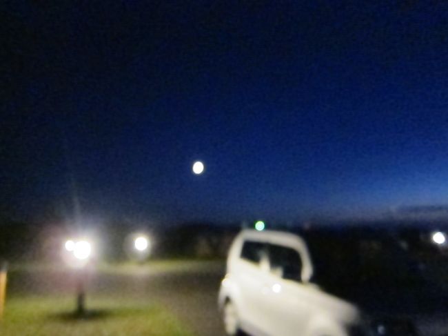 お休みなさい。