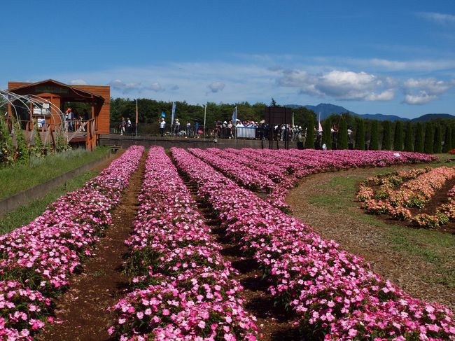 入口付近で入場券買う人　入る人