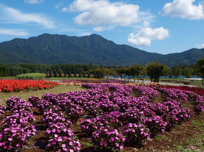 夏の雲も　景色を彩る　その美しさ
