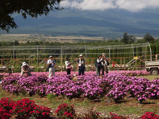 カメラマン　グループ<br /><br />　大きな声で指導<br /><br />　　怒られたかと思えば私ではありませんでした<br /><br />　　　勉強も大変