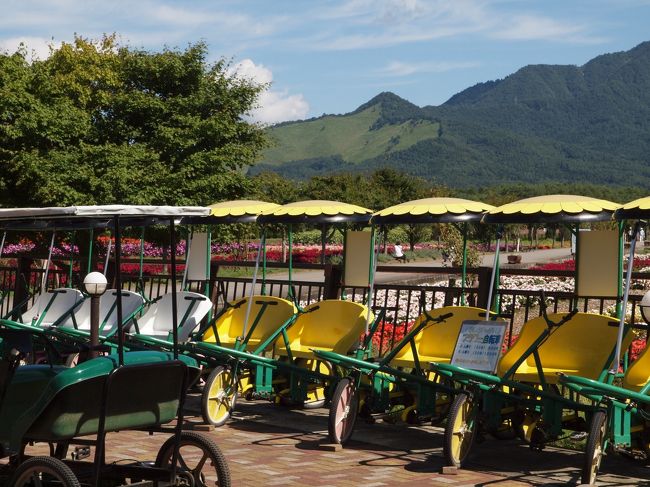 園内を楽に巡れるよう<br /><br />　二人乗り三輪車