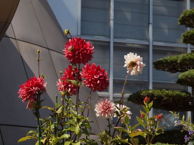 フローラムドームへ