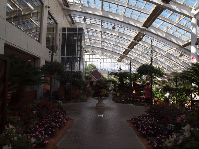 温室　土産物　ソフトクリーム　飲み物の小屋有り<br /><br />　　　無論　トイレも<br /><br />エレベータ　で二階からの鑑賞もできますが<br /><br />　身障者のみ使用の標識<br /><br />　　　腰がキツイ私は諦め