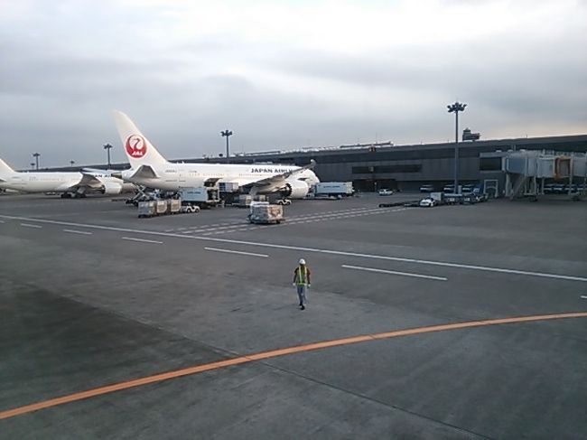成田空港の展望デッキからの眺めです