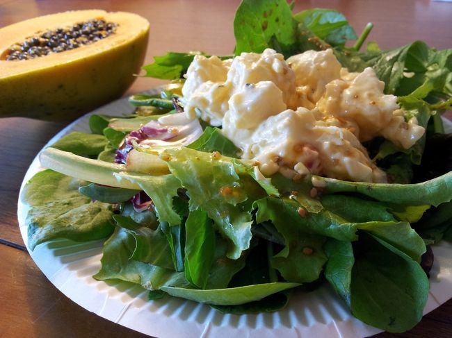 スーパーで買っておいたカット野菜とパパイヤが朝食です。<br />この後、ハムも加わりました。<br /><br />日本からは、大好きな胡麻ドレッシング、醤油、塩、サランラップ、紙皿、紙コップ、ナイフ、缶切りなどを持っていきます。<br />