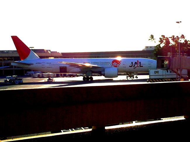 この尾翼のマークも、今では珍しくなってきました。