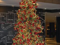 ホテル到着
ル　メリディアン　ピラミッズ

入り口のツリーを目にして、イスラムの国だよね…？と。
まあヨーロッパ系ホテルなので気にしないことにしました。

両替などしていて部屋でホッとできたのは午前３時すぎ。

風呂に入ろうにもお湯が出ず、結局すべて整えられたのは４時過ぎ。

