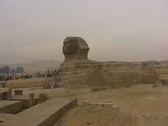 つぎは、スフインクス。

歩ける距離だったので後ろ姿が見えてきたときはわくわくしました。

どこかの大統領が来ていたらしく、しばらく待たされました。
その団体を見たのですが、どの人が大統領なのか見わけがつきませんでした。