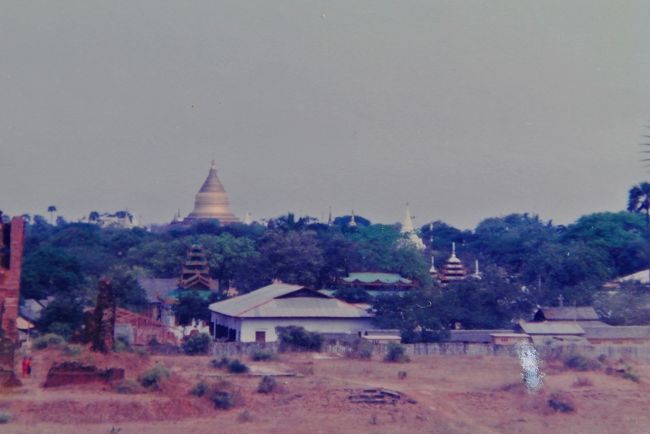 なんでこんなところにいるんだろう・・・。