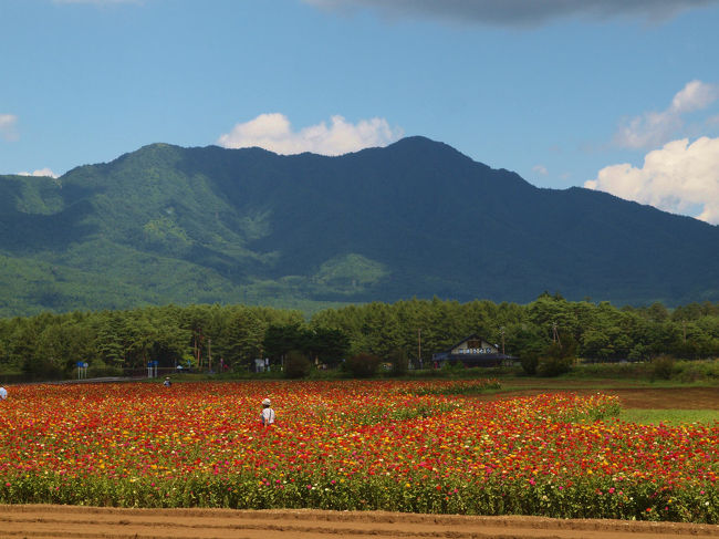 富士山ではないのですが<br /><br />　くっきり　夏空に映えて。