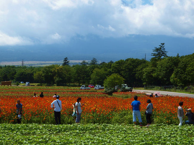 まだ富士山は頭を隠して<br /><br />　晴れるのを待つ人たちも