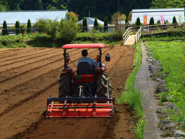 作業、、このような方が、、<br /><br />　　より、美しい花たちを見せてくれるよう<br /><br />　　　手入れに励んでいてくれる。<br /><br />　　　　　　　　　ありがとう