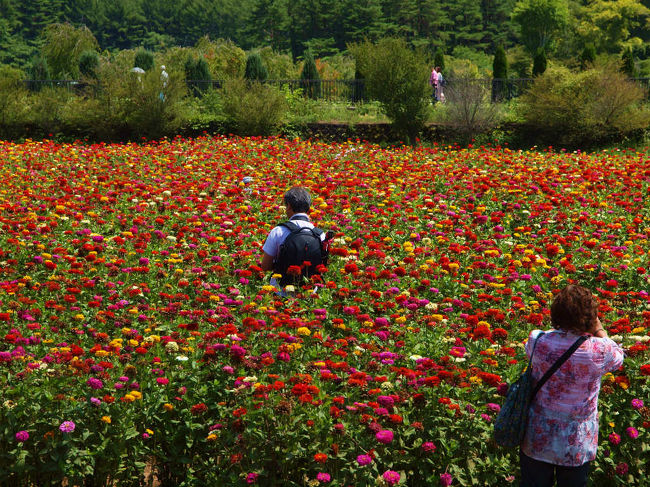 花に囲まれて　幸せ