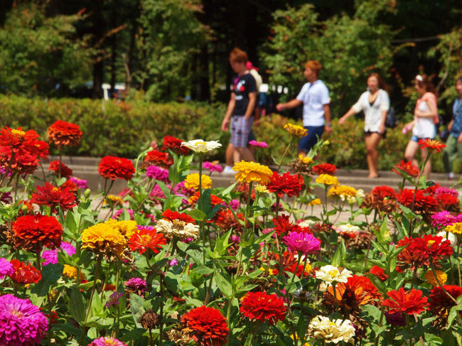 友人とでしょう　若さが見られて<br /><br />　青春時代を　ふと　思い出す。