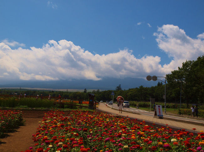 富士山はまだ。。
