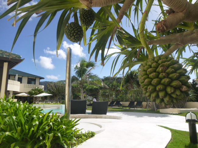 ７時、ホテルのレストランで朝食。<br />９時、ラ・カーサ・パナシア・オキナワ・リゾートをチェックアウト。<br /><br />文字通り、カーサ（スペイン語で家）の雰囲気で、宿泊中ホテルに戻ることを家に帰ると自然に言っていた。部屋のソファとラグマットが自分の家みたいで、寛げた。パジャマがあって便利だった。歯ブラシが使い易かった。シャンプー、リンス、ボディソープの香りが良かった。