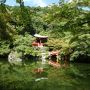 お庭メインで巡る京都