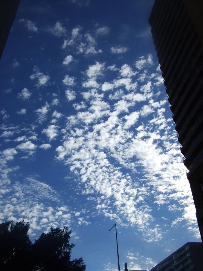 朝着。<br />ホテルに荷物を預けて、9時には行動開始できました。<br />空がキレイ