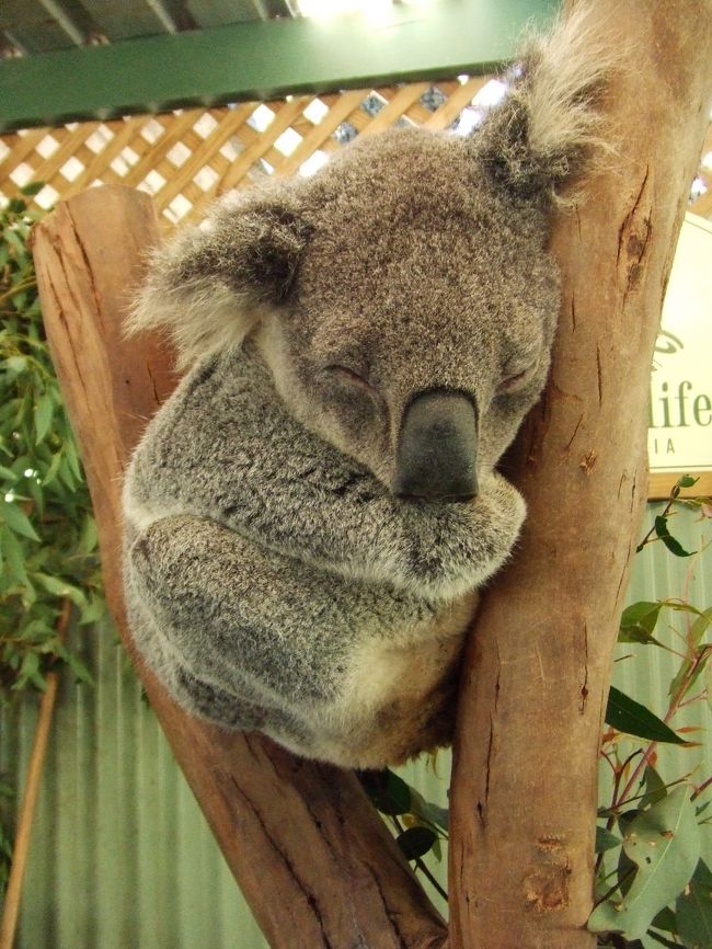 この子かわいすぎです！赤ちゃん。<br />一緒に撮った写真は、宝物になりました。